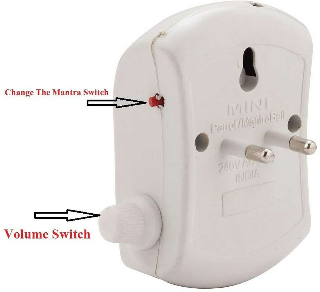 Image Placeholder