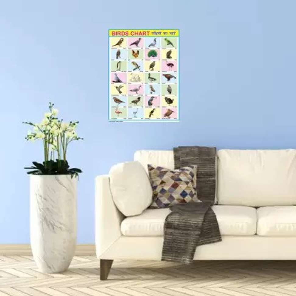 HOME SHIELD Birds Chart for Kids | My First Early Learning Types of ...
