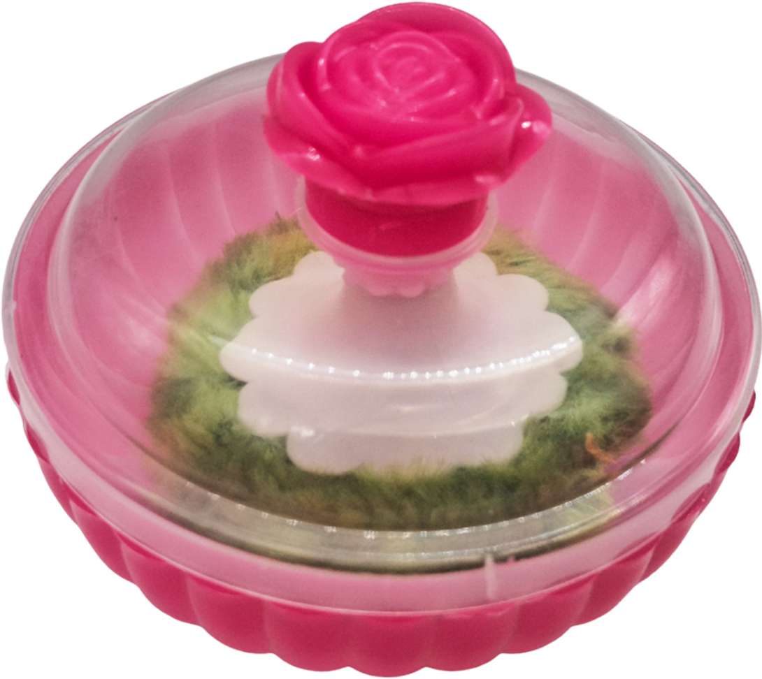 Image Placeholder