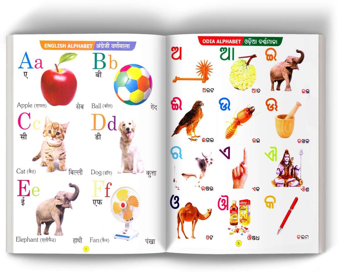 Image Placeholder