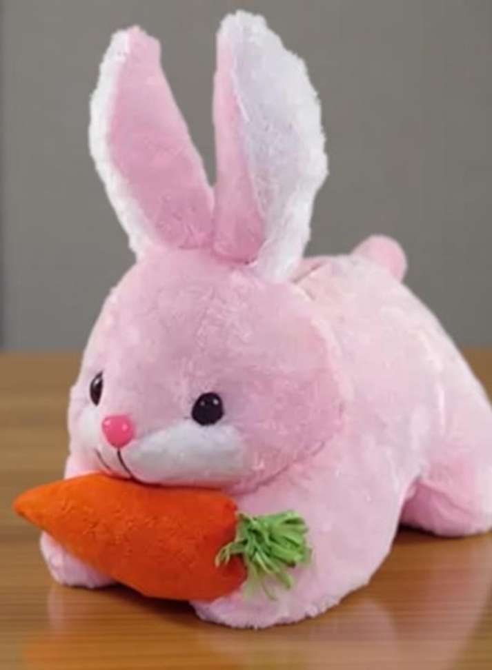 Image Placeholder