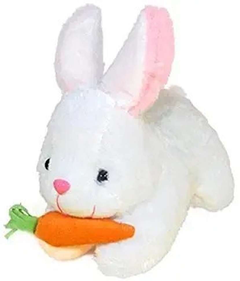 Image Placeholder