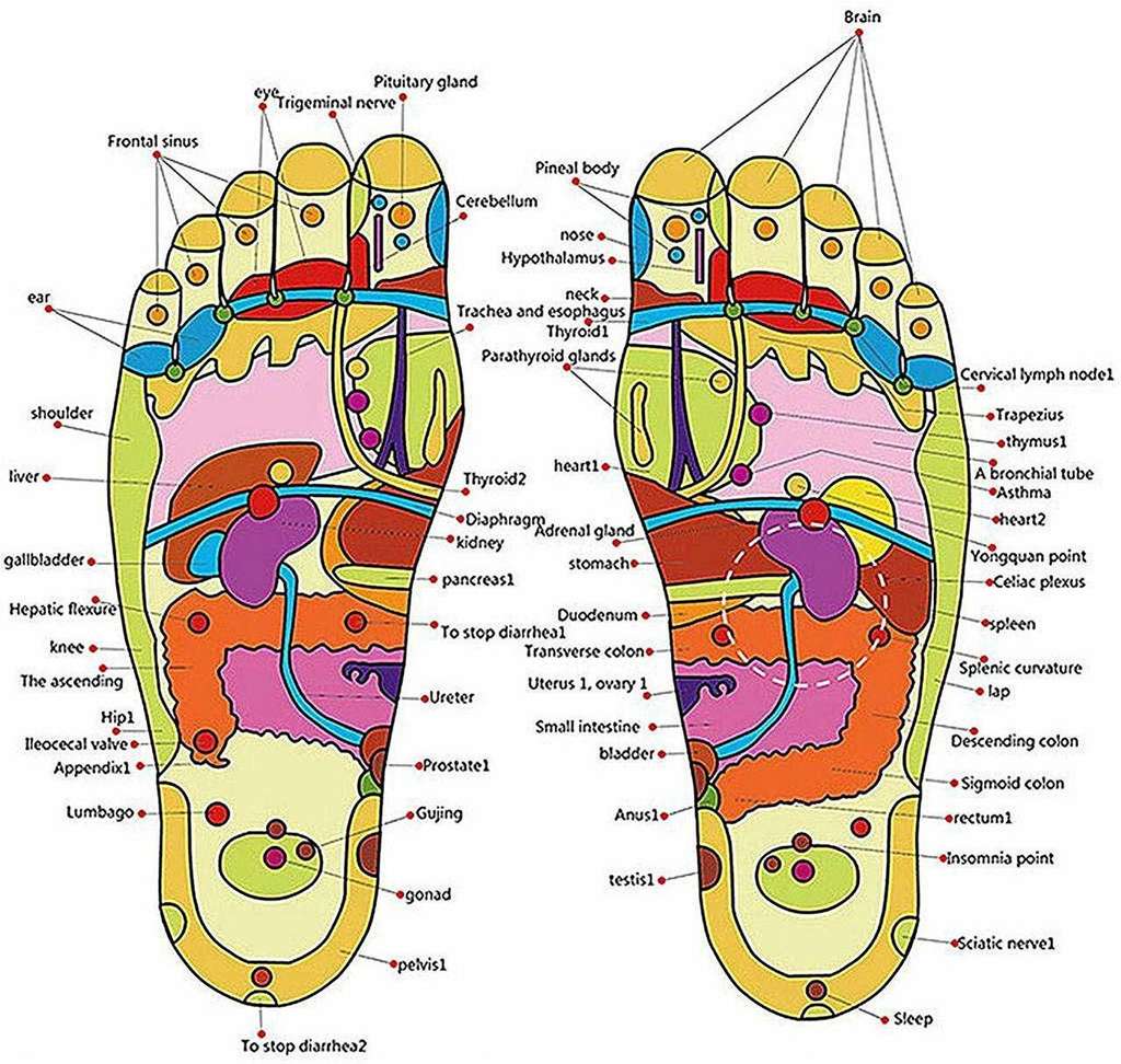 Shopsy Health Raksha Men Acupressure Slippers - Image 6