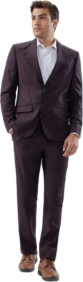 Park Avenue 2‑Piece Checkered Suit for Men – 55% Price Cut, Now ₹8,533