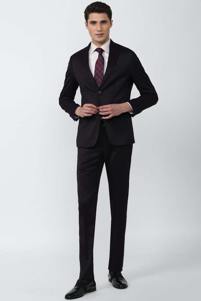 Peter England Single Breasted 2 Button Solid Men Suit