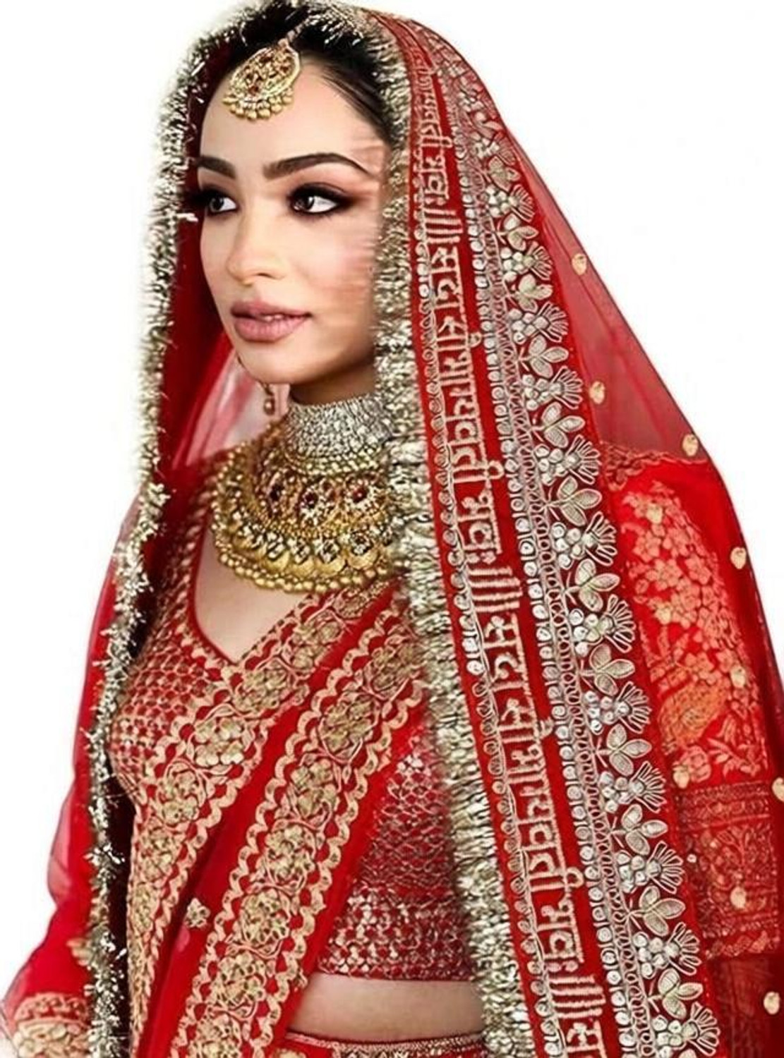 kaevion Net Self Design Red Women Dupatta - Image 1