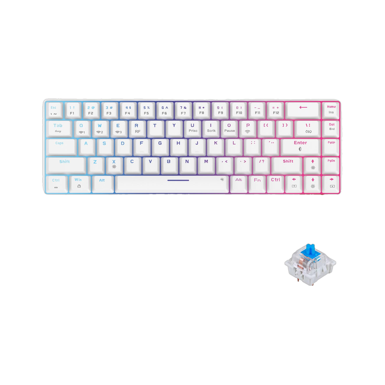 Portronics POR 1880 Bluetooth Wireless Gaming Keyboard, Blue Switch - Image 1
