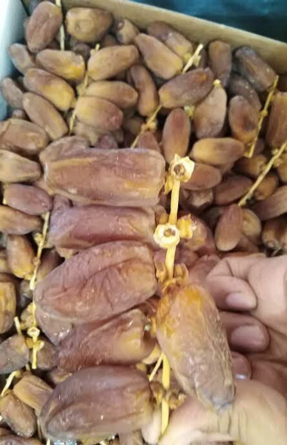 Royal foodery Ajwa Khajoor DATES (500GRAM) Dates (1 x 500 g) - Image 1
