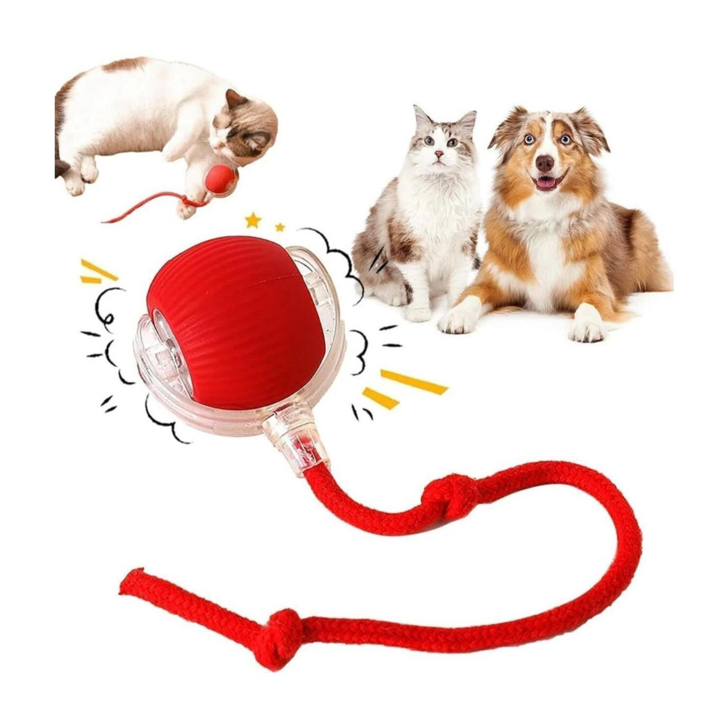 decorvaiz Smart LED 360° Rotating Cat Toy Ball Cat Dancing Ball Pet Rolling Ball Silicone Ball For Dog & Cat - Image 1