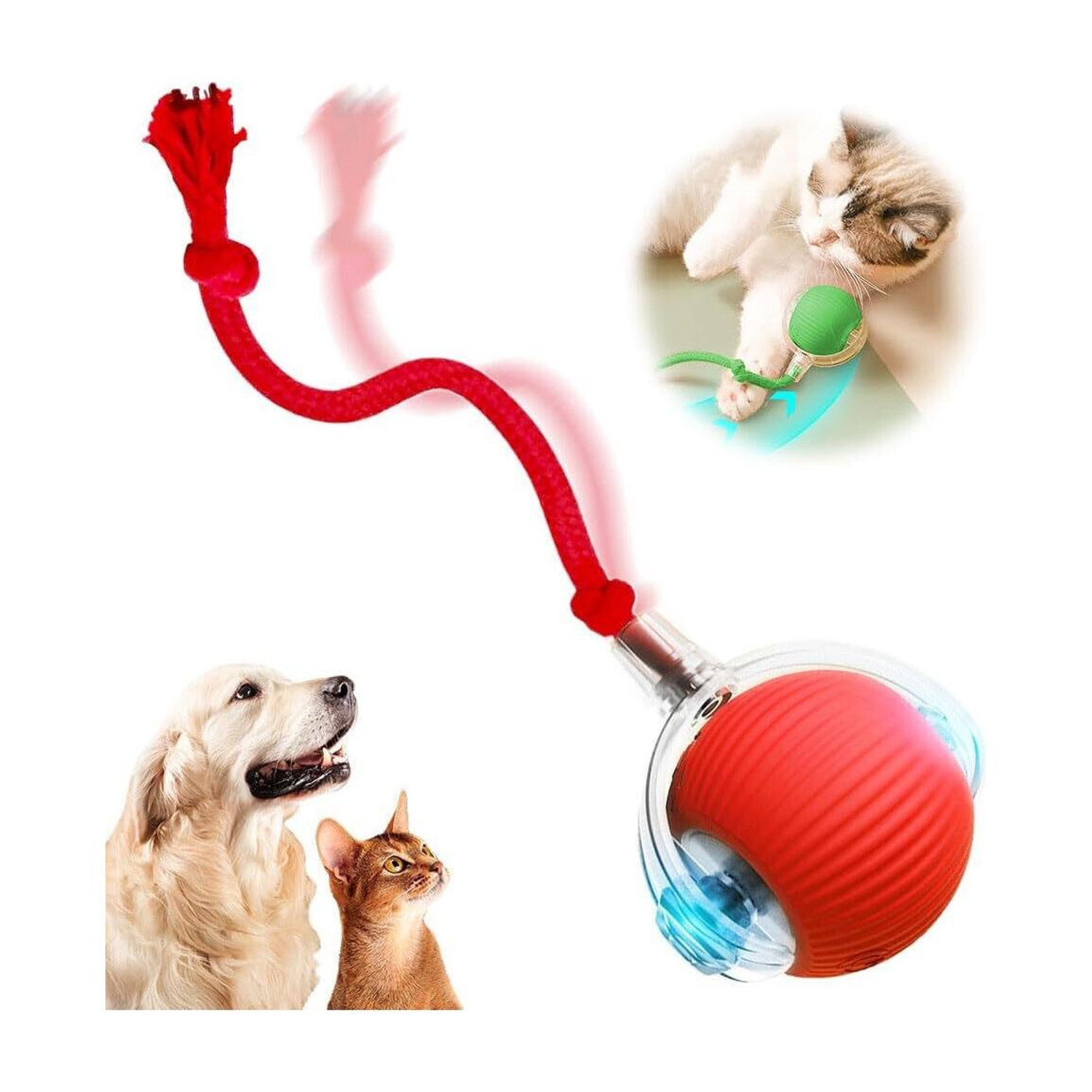 decorvaiz 360° Smart Automatic Ball Cat Toys Ball for Indoor Cats Fast Rolling on Carpet Silicone, Plastic Chew Toy For Dog & Cat - Image 1