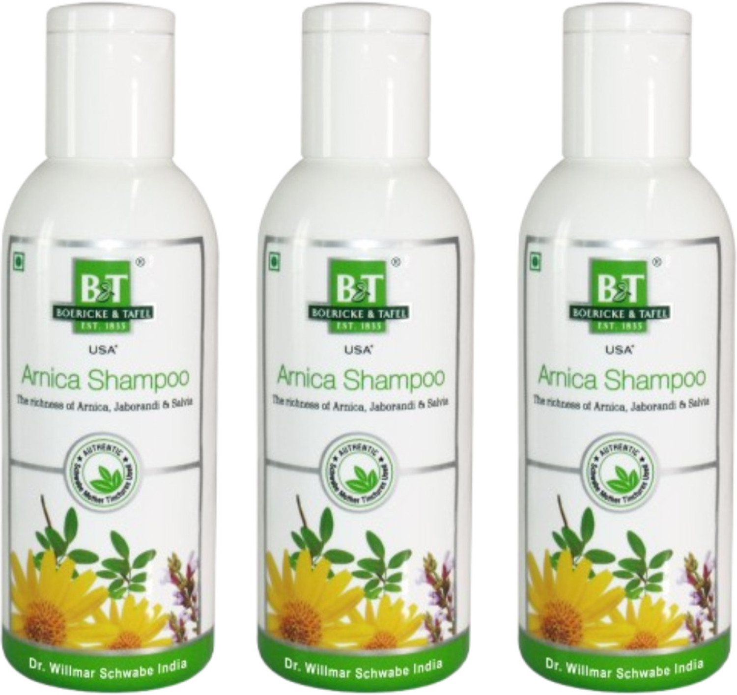 BT BOERICKE & TAFEL Boericke & Tafel Arnica Shampoo with Jaborandi, - Image 1