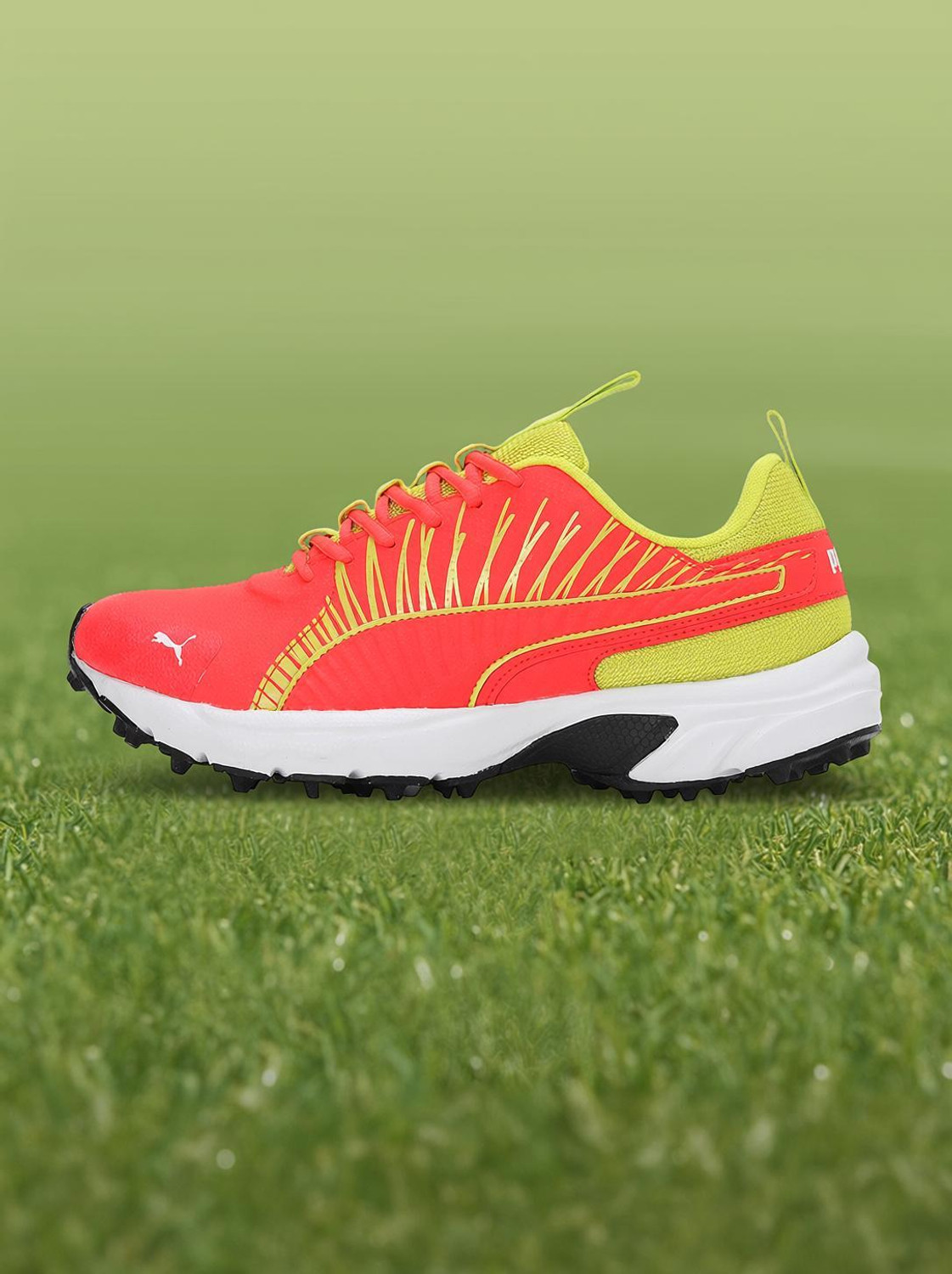 PUMA Cricket Square Cricket Shoes For Men (Red , 7) - Image 1