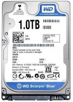 WD BLUE 1 TB Desktop Silver SATA Internal Hard Disk Drive (HDD
