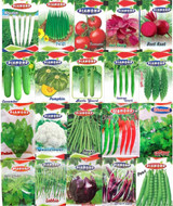 ActrovaX Japanese Horseradish/Wasabi [250 Seeds] Seed Price in