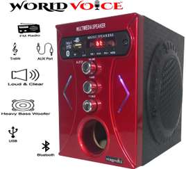 palco sound system M150 Portable Multimedia Floor Standing Speaker