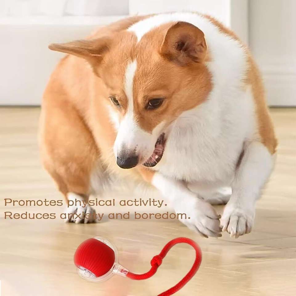 Shopsy VelaAvO Interactive Rolling Dog Toy 360° Electric Smart - Image 4
