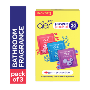 Godrej Aer Power Pocket Assorted Fragrance Blocks 10g - Image 1
