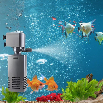 fish aquarium accessories mumbai Buy Maxbell Decoration Tank Fish Garden Pond Aquarium Ornament 11.5x6.5x8.5cm at the best price with offers in India. Maxbell Aquarium Decoration Fish Tank Accessories Fish Garden Pond Aquarium Ornament puppiesforsale #puppiesinmumbai #labradorpuppiesinmumbai