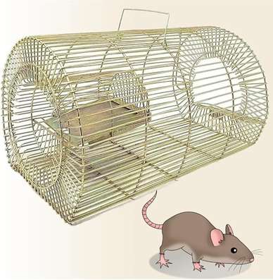 V Panwar Sons Rat Traps - Buy V Panwar Sons Rat Traps Online at