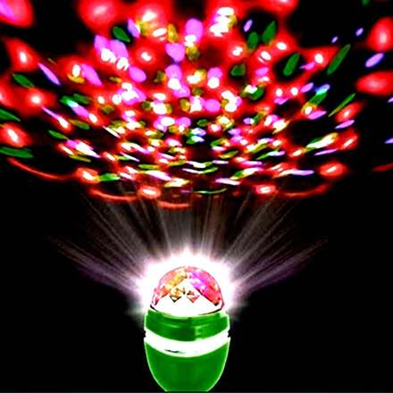 Rice Lights - Shop Decorative Rice Lights Online | Shopsy