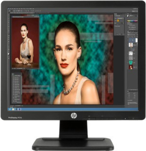 HP ProDisplay P17A 43.18 cm (17 inch) SXGA LED Backlit Monitor