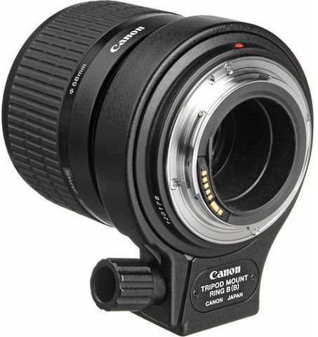 Canon MP-E65mm f/2.8 1-5x Macro Photo Macro Prime Lens - Canon Canon MP-E65mm f/2.8 1-5x Macro Photo Macro Prime Lens - Canon