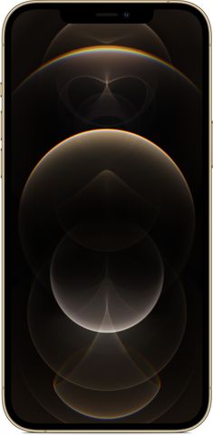 Apple iPhone 12 Pro Max (256 GB Storage) Online at Best Price On