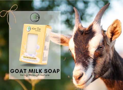 Lion Tree Handmade Goat Milk Soap