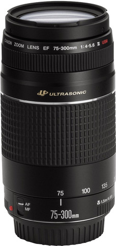 Canon EF 75 - 300 mm f/4-5.6 III USM Telephoto Zoom Lens - Canon