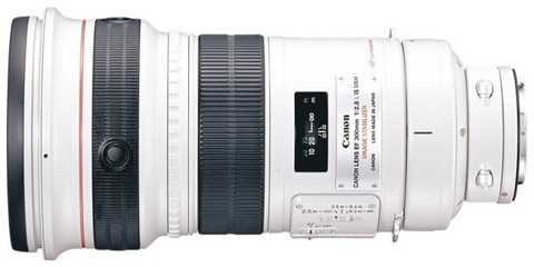 Canon EF 300 mm f/2.8L IS USM Telephoto Zoom Lens - Canon