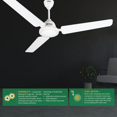 Usha 1200MM Technoair 5STAR W/O REG R.WH CF