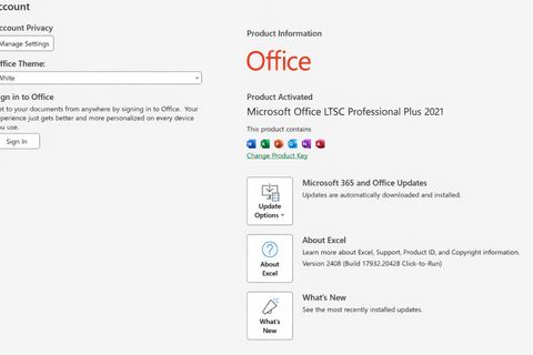 MICROSOFT Office 2021 Professional Plus Lifetime All Office Apps