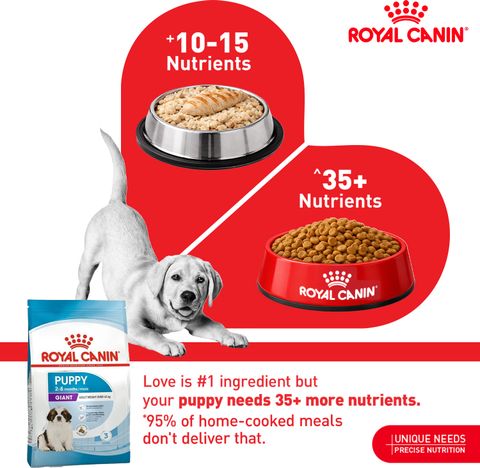 ロイヤルカナン　ジャイアントパピー １５キロ Royal Canin Giant Puppy Dog Food 15 kg Dry Young Dog Food Price in