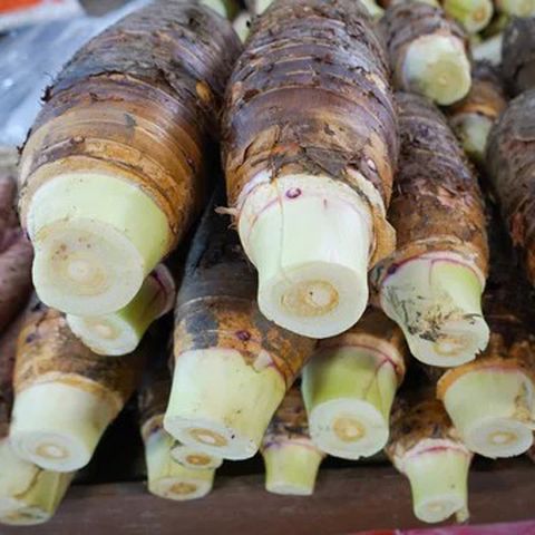 naturehils Taro Root / Arbi / Dasheen / Eddoes Vegetable Bulbs