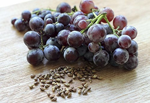 Aywal Grapes, Fruits, seeds, Black Grapes Seed Price in India - Buy Aywal  Grapes, Fruits, seeds, Black Grapes Seed online at Flipkart.com
