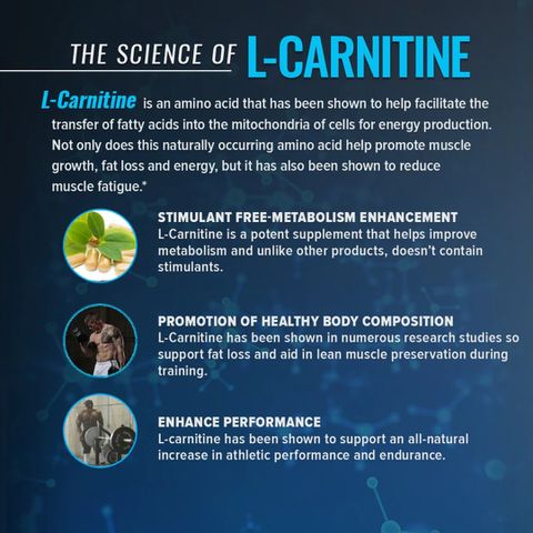 Eligator L-Carnitine Liquid 3500MG Pre-workout | Converts Fat to Muscles (Mango) BCAA Price in India - Buy Eligator L-Carnitine Liquid 3500MG Pre-workout