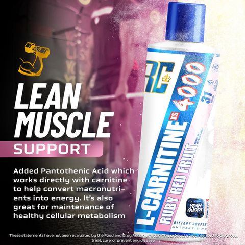l carnitine amazon india RC RONIE COLEMAN Signature Series XS L-Carnitine 4000 MG Ruby Red Fruit Flavour Price in Regeneracja Wątroby