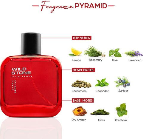 Wild Stone Forest Spice & Ultra Pack of 2 · 50 ml (100 ml total) - Image 3