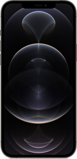Apple iPhone 12 Pro Max (256 GB Storage) Online at Best Price On