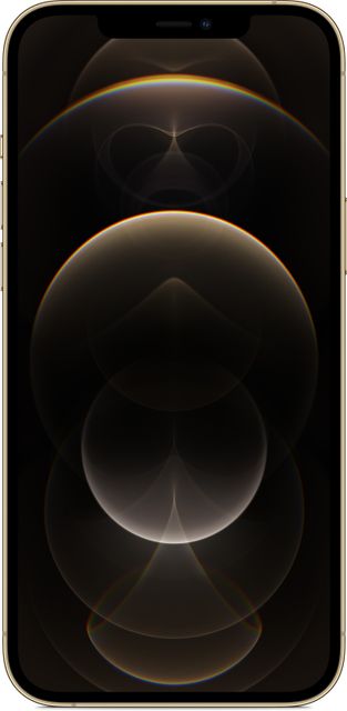 Apple iPhone 12 Pro Max (256 GB Storage) Online at Best Price On