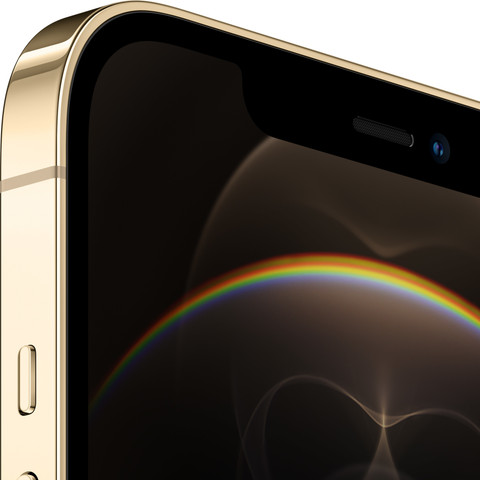 Apple iPhone 12 Pro Max (256 GB Storage) Online at Best Price On