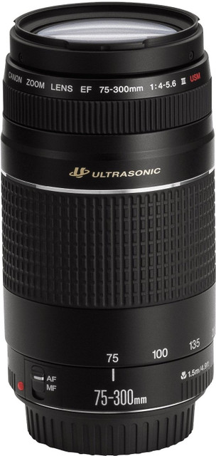 Canon EF 75 - 300 mm f/4-5.6 III USM Telephoto Zoom Lens - Canon