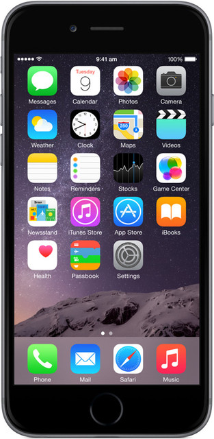 Apple iPhone A1586 本体　iPhone6 iPhone 6 (Space Grey, 16 GB) Online at Best Price with Great