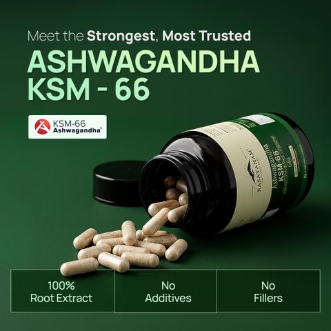 Rasayanam Ashwagandha KSM-66 600 mg 60 Capsules - Image 6