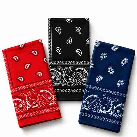 Royal Mart Cotton Paisley Men & Women Printed Bandana (Pack of 3) - Image 5