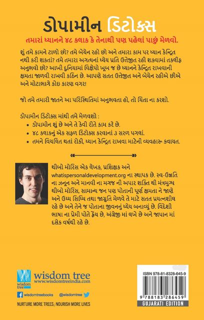 Wisdom Tree Dopamine Detox (Gujarati) Paperback - Image 6