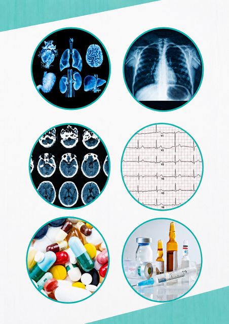 M Hussain The Medicine Handbook, A Guide to Diseases, Drug & Doses hindi/ English Both Language (3rd edition 2026) (Paperback, M Hussain) - Image 6