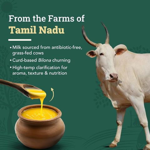 Anveshan Bilona Churned Aromatic A2 Cow Ghee, 500ml - Image 8