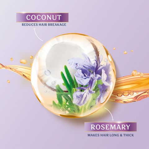 Parachute Advansed Rosemary Coconut Hair Oil 300ml - Image 4
