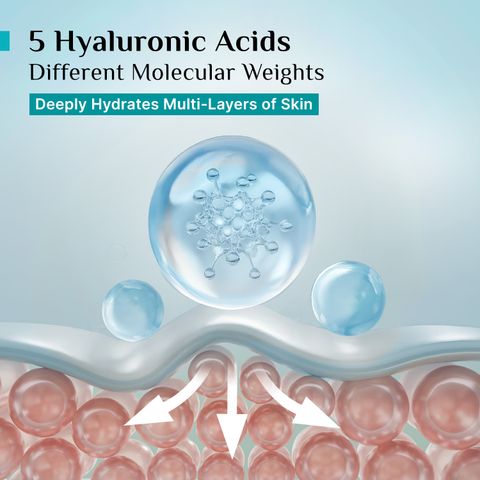 Pilgrim Korean Rice Water Hydra Glow Brightening Moisturizer | Clear Glass Skin Glow (50 g) - Image 6